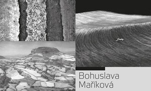 Bohuslava Maříková • Dana Vitásková • Miroslav Myška - Černobílý svět